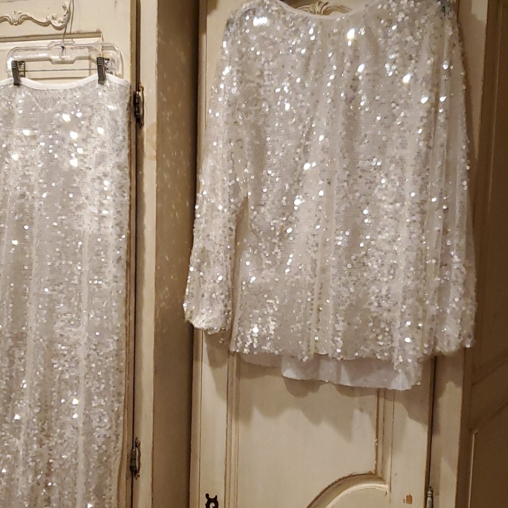 Zara sequence top and skirt